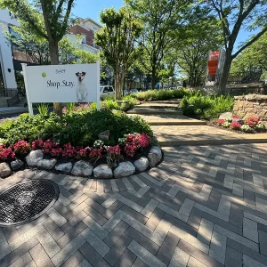 Commercial lifestyle center plaza with landscaping and signage