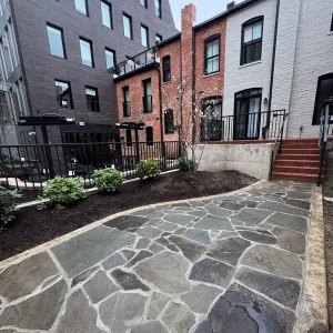 Stone path leading to old brick buildings in urban center