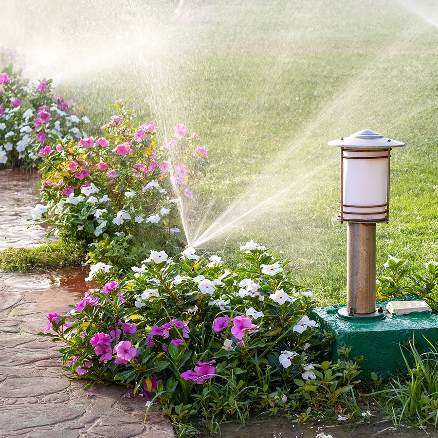 Irrigration sprinklers with flowers and walkway lighting posts
