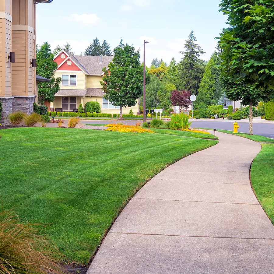 Well maintained residential lawn and sidewalk